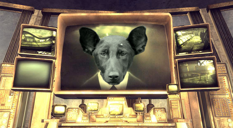 Illustration for article titled Kotaku 'Shop Contest: Canine Countenances: The Winners